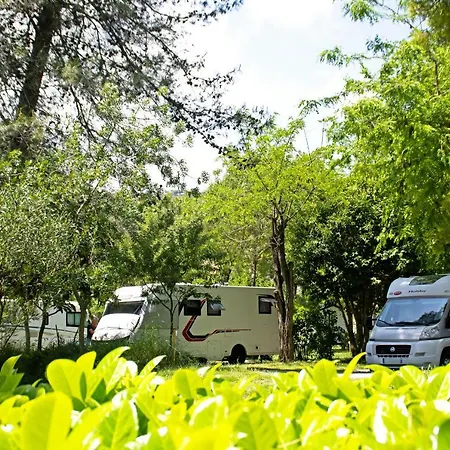 Camping Les Mimosas Camping Pégomas